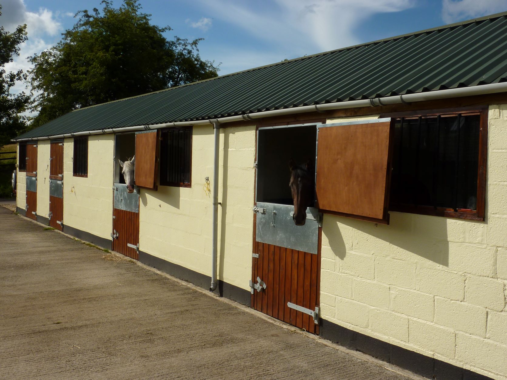 Stables with two horses